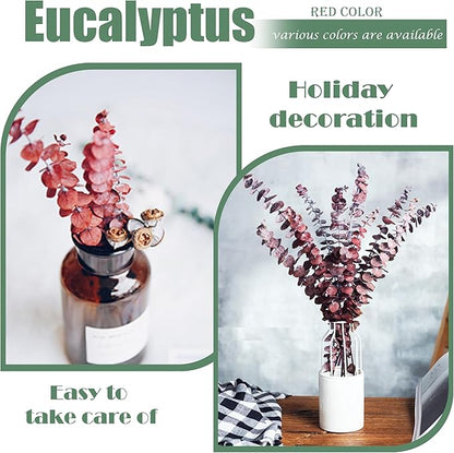 (20Pcs) Dried Eucalyptus Stems - Red, Fall Decorations for Home, Real Long Eucalyptus, Dried Flowers for Vase, 17" Floral Arrangement, Wedding