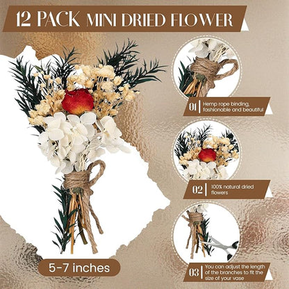 Layhit 12 Pack Boho Dried Flower Bouquet Mini Wedding Handmade Dry Flowers Decor for Vase Crafts DIY Photo Boutonniere for Men Floral Plant for Bridesmaid Gift Birthday Decor(Colorful)