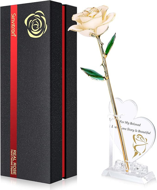 Sinvitron Gold Dipped Infinity Rose Forever Flower Decor, Resin Preserved Real Rose Birthday Gift for Women, Anniversary Present for Mom (White)