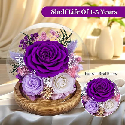 Preserved Roses Forever rose in glass dome - Birthday Gifts for Women Mom, Real Flowers for Delivery Prime | Rose Gift for Grandma Wife Sister Friend(Mix purple)
