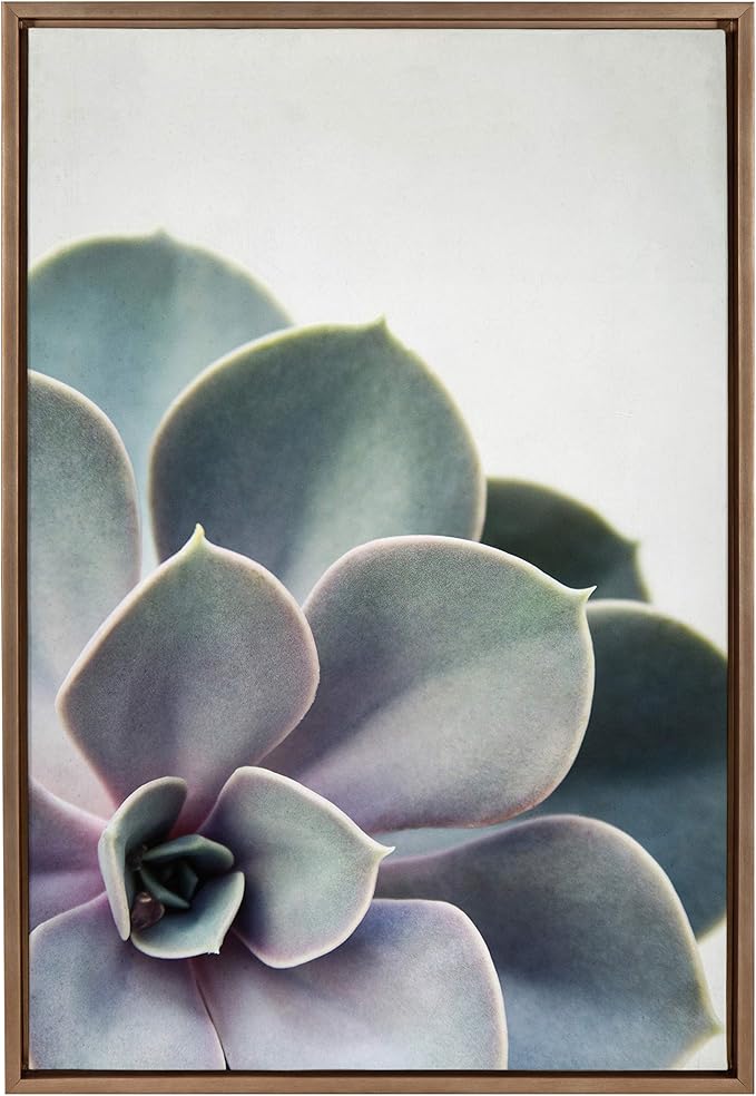 Kate and Laurel Sylvie Succulent Framed Canvas Wall Art by F2 Images, 23x33 Gold