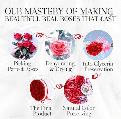 GLAMOUR BOUTIQUE Flowers Forever in a Box 12 Preserved Roses in Velvet Box, Birthday, for Women, Eternal Rose for Wife, Mom Flower - Red