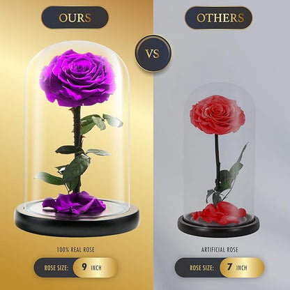 Forever Preserved Rose - Eternal Rose in Glass Dome - Beauty and The Beast Rose for Mom - Fresh Flowers for Delivery Prime (Purple, 9 Inch)