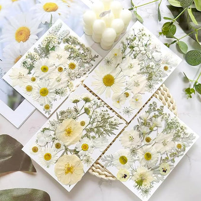 95 Pcs White Pressed Dried Flowers for Resin, Real Natural Bulk Dry Wildflowers Leaves Perfect for Epoxy Molds, DIY Crafts, Home Decor, Soap Candles Jewelry Making