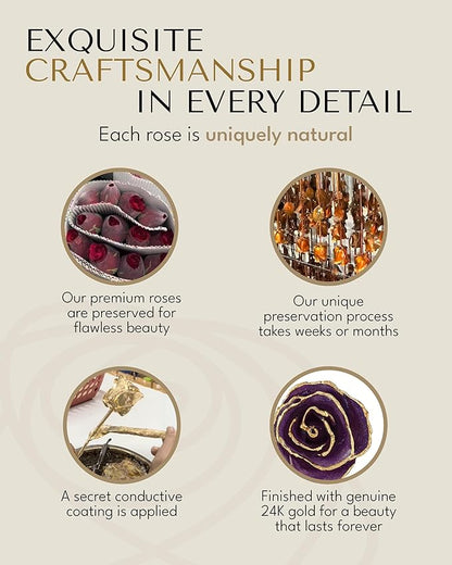Forever Rose Hand-Dipped in 24K Gold, Amethyst-Inspired February Birthstone with Sparkles, Real Rose in Leather Case with LED Light – Perfect Ready to Gift for February Birthday or Any Occasion
