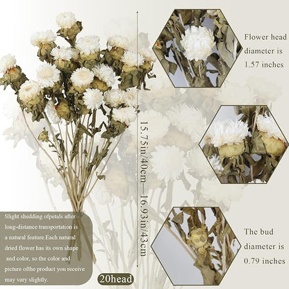 20 Pcs Dried Daisy Flower Bouquet Natural Dried Gerber Daisies Flowers Bundles Real Dried Flowers Mums Chrysanthemum Floral Arrangements for Wedding Party Table Centerpiece Decor Farmhouse