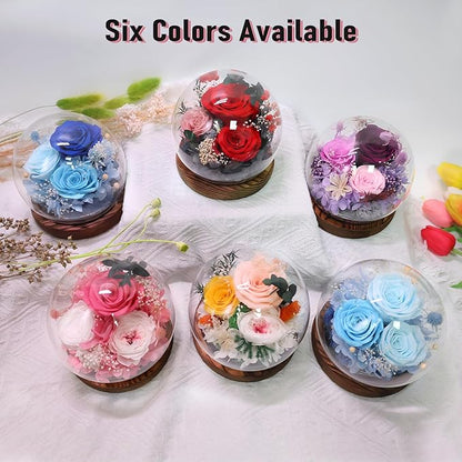 FIACO Valentines Gifts for Her Preserved Flowers in Glass Dome Long-Lasting Eternal Roses Birthday Gifts for Women Mom Grandma Wife Girlfriend Pink Forever Flowers for Delivery Prime