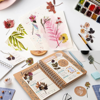 Natural PET Flower Stickers for Scrapbooking - Vintage Nature Plant Craft Sticker, Colorful Small Clear Floral Decal for Journaling (Style D)