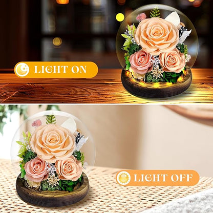 Preserved Roses Forever Flowers in Glass - Birthday Gifts for Women Mom, Real Flowers for Delivery Prime | Rose Gift for Grandma Wife Sister Friend (Mix Champagne)