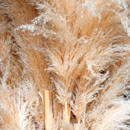 40-Inch Cream Pampas Grass Decor Tall 10-Pcs XXL Size Natural Boho Plants Decor Wedding Flowers