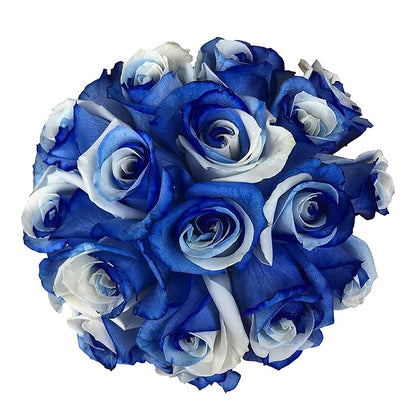 Fresh Cut Tinted Blue and White Roses from Flower Explosion -12 Stems