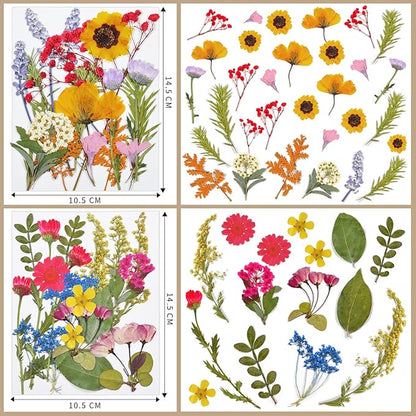 CONVELIFE Dried Flowers , 72pcs Natural Pressed Flowers and Leaves with Tweezers, Pressed Flowers for Epoxy, Jewelry, Candles, Soap, Nail Production