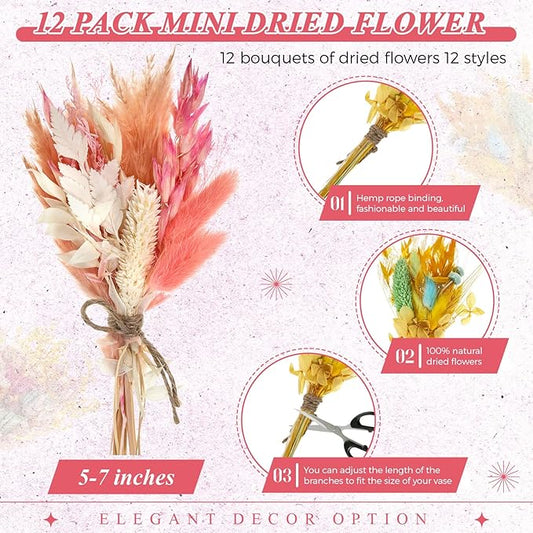 Layhit 12 Pack Boho Dried Flower Bouquet Mini Wedding Handmade Dry Flowers Decor for Vase Crafts DIY Photo Boutonniere for Men Floral Plant for Bridesmaid Gift Birthday Decor(Lively)