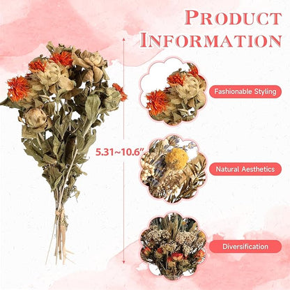 11 Kinds of Dried Flowers for Crafts Bulk DIY Natural Multi-color Dried Pampas Grass Lavender Forget Me Not Babys Breath with Stems Dry Flower Bouquets with Hemp Rope for Home Decor Floral Arrangement