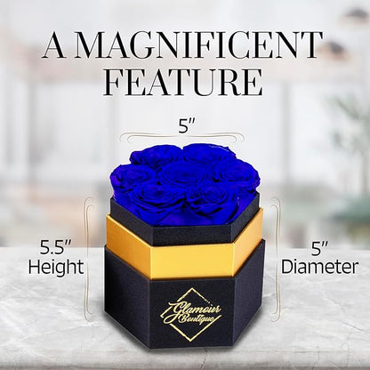 GLAMOUR BOUTIQUE Eternal Preserved Roses in a Box - Flowers Forever, Rose Forever in a Box for Wife, Birthday Gifts for Her, 7 Roses, Blue