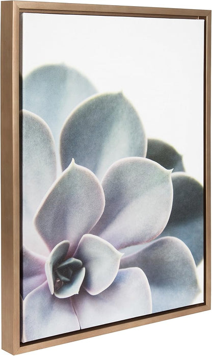 Kate and Laurel Sylvie Succulent Framed Canvas Wall Art by F2 Images, 18x24 Gold