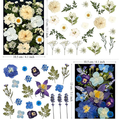92Pcs Pressed Dried Flowers for Resin, Real Assorted Natural Bulk Dry Floral Leaves for DIY Art Crafts, Epoxy Molds, Jewelry, Soap, Candle Making, Nails Decors