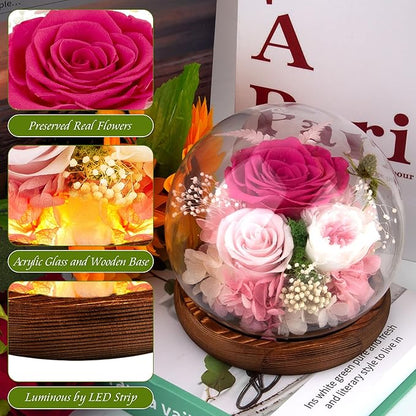 Pink Rose Birthday Gifts for Women Forever Flowers for Delivery Real Rose in Glass Dome with LED Strip, Preserved Flowers Rose Gifts for Wife Girlfriend Mom on Wedding Anniversary
