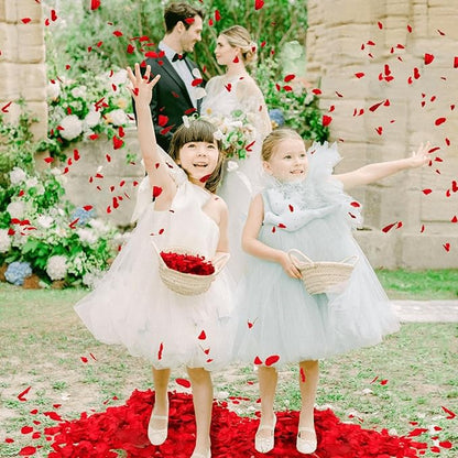 1500Pcs Real Dried Red Hydrangea Flower Petals - Natural small Petals for Wedding, Party Confetti, Valentine's Day, Flower Girl Baskets, Romantic Night, Proposal Decor, Handcrafts (1.06 oz)