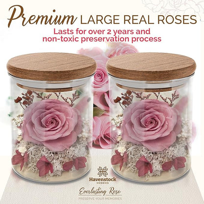 Pink Rose in a Glass Dome - Premium Real Roses That Last a Year or More - Mother's Day Unique Gifts for Her Preserved Roses - Forever Flower Decor Preserved Flowers - Eternal Rose Display