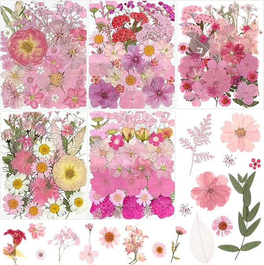 Nuanchu 167 Pcs Real Dried Pressed Flowers Natural Dried Flowers Colorful Daisy Mixed Wildflowers Leave for DIY Candle Resin Nails Jewelry Pendant Crafts Floral Art(Pink,Candy Style)