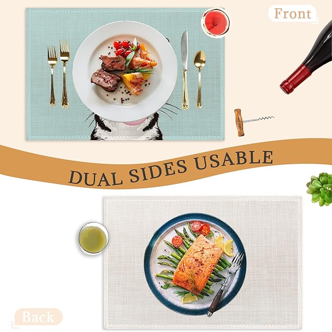 Funny Cat Placemats Set of 6,Washable Heat Resistant 12×18 Inch Linen Table Mats,Place Mats for Party Outdoor Dining Décor