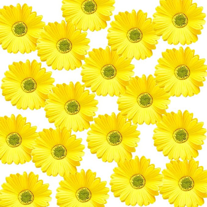 WILLBOND 18 Pieces Artificial Gerbera Daisies Flowers Fake Daisy Faux Boho Daisy Flowers Bouquet 15 in for Boho Birthday Decorations Wedding Home Decor (Yellow)