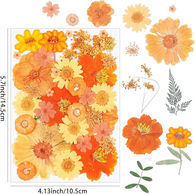 111Pcs Orange Dried Pressed Flowers for Crafts,Xinxinran Fall Dry Flowers Kit for Resin Molds,Epoxy Resin Accessories,Bookmark,Jewelry Molds,Candle Making Supplies,Soap,Frame