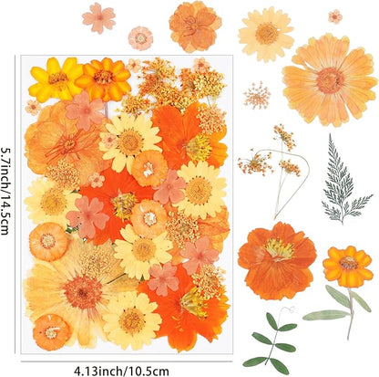 111Pcs Orange Dried Pressed Flowers for Crafts,Xinxinran Fall Dry Flowers Kit for Resin Molds,Epoxy Resin Accessories,Bookmark,Jewelry Molds,Candle Making Supplies,Soap,Frame