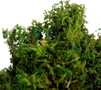 BYHER Artificial Moss Fake Green Grass for Centerpieces Home Kitchen Garden Decor (8OZ, Fresh)