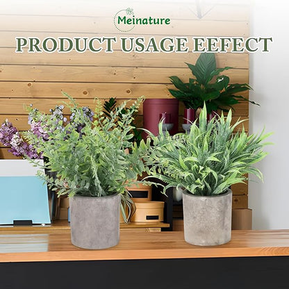 2 Pack Mini Potted Fake Plant, Artificial Plants Indoor, Artificial Frost-Hung,Eco-Friendly Gray Pot, No Need for Maintenance，Ideal Decor for Home and Office (2, Spring Grass + Wild Fern)