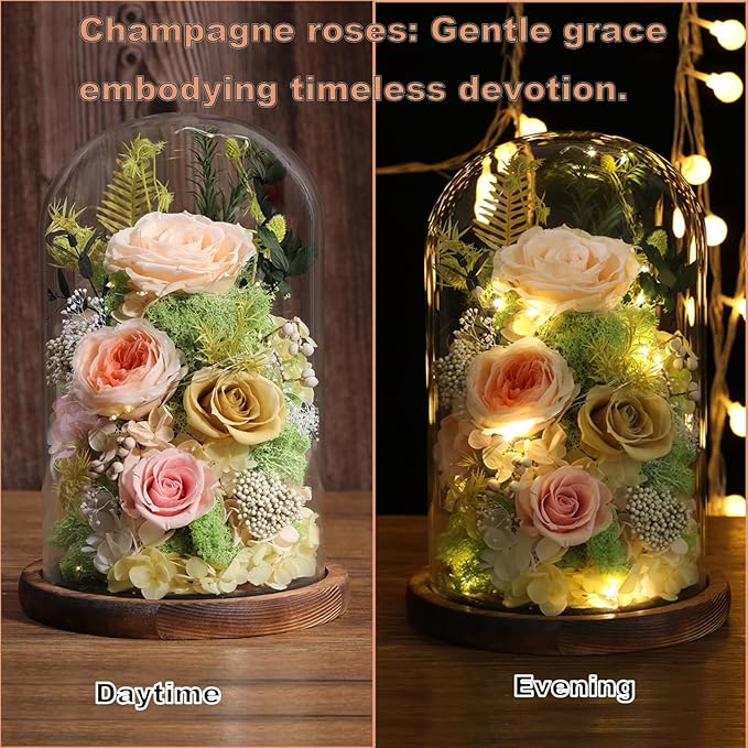 Flowers for Delivery Preserved Flowers Rose in Glass Dome,Champagne Rose Forever Flowers Birthday Gifts for Women Mom Grandma Friend Gifts for Her,Home Decor