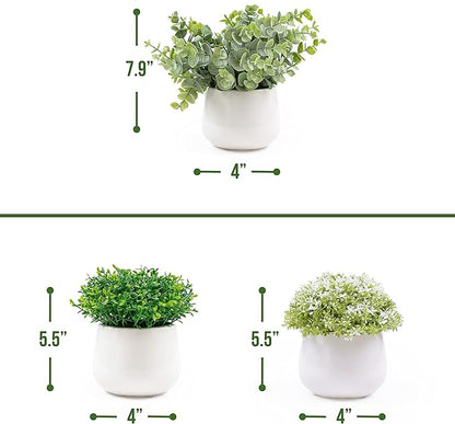 Artificial Plants for Home Decor Indoor. 4 Mini Plants, Rosemary Faux Plant Decor, Eucalyptus Plant, Grass Plants. Small Fake Shelf or Desk Greenery Décor (Ceramic-3)