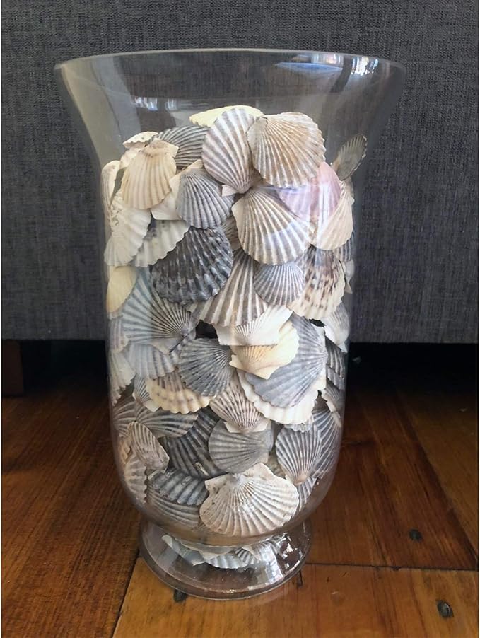 WGV Unique Bouquet Vase Bulk, 7" W, 12" H, Clear Short Hurricane Glass Candle Holder, Floral Planter Terrarium, Home Wedding Event Decor, 6 Pieces (VHV0812)