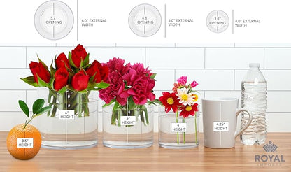 Royal Imports Flower Acrylic Vase Decorative Centerpiece for Home or Wedding by Royal Imports - Break Resistant - 5" Cylinder by 5" Tall