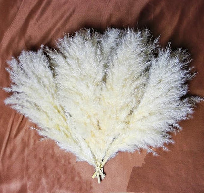 10 PCS Beige Pampas Grass Decor, Naturally Dried Pompas, Bunny Tails Dried Flowers, and Dried Eucalyptus. Perfect for Weddings, Boho Party Decorations, and Table Decor(17inch)