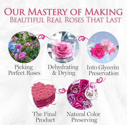 GLAMOUR BOUTIQUE 27 Flower Forever Heart Shape Box - Preserved Roses Gift for Her, Preserved Flowers, Velvet Pink