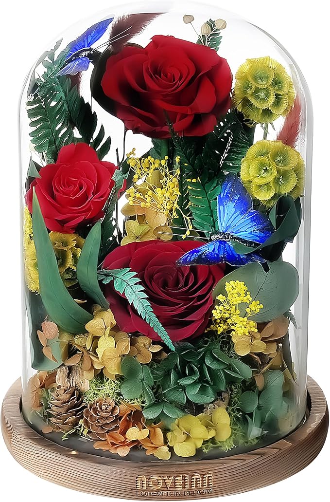 NOVEINN Preserved Flowers in Glass Dome - Eternal Rose Arrangement with Real Preserved Plants, Romantic Forever Rose Gift for Women - Anniversary, Birthday, Mother’s Day, Home Decor(Red)