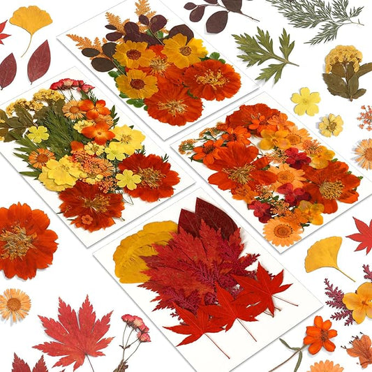 Augshy Fall Dried Pressed Flowers,100 Pcs Autumn Dried Flowers Leaves for Resin Molds Real Pressed Flowers for Crafts DIY Jewelry Molds, Scrapbooking, Candle