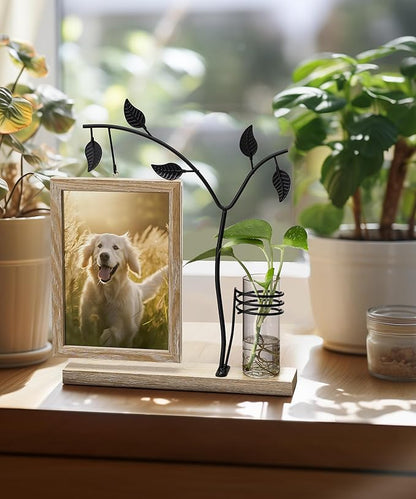 Afuly 5x7 Picture Frame with Glass Vase for Plants Flowers, Desk Picture Frames Floating Photo Frame for Office Home Decor, Unique Anniversary Mothers's Day Gifts for Grandma Mom, Light Brown