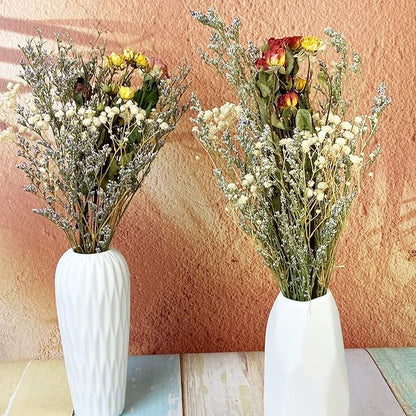 L'BREVOGA Dried Flower Spray Rose Bouquets, 2 Bunches 100% Natural Flowers, Miniature Roses with Baby’s Breath for Decoration Home Party (Spray Rose)