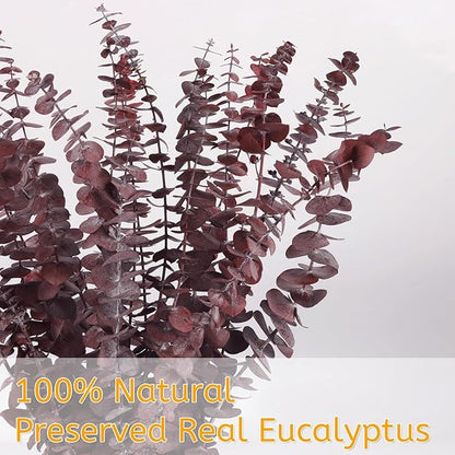 Real Dried Eucalyptus Stems, 20Pcs 17inch Red Preserved Fresh Eucalyptus Stems Plant for Home Vase Wedding Festival Floral Arrangement Fall Decoration