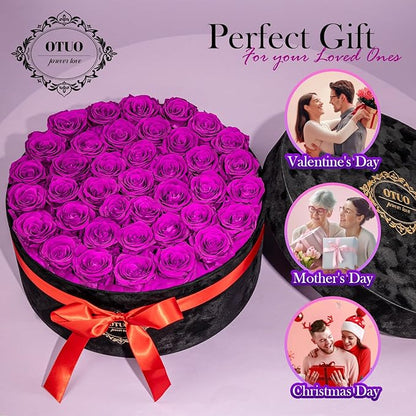 40 Real Preserved Roses in Suede Box Forever Roses Last Up to 3 Years, Flowers for Delivery Prime, Mother’s Day, Birthday, Christmas - Purple