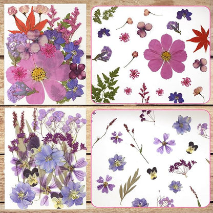 CONVELIFE Dried Flowers for Resin, Vacuum Packed DIY Pressed Flowers for Epoxy, Jewelry, Candles, Soap, Nail Production (80PCS Purple Dried Flowers)