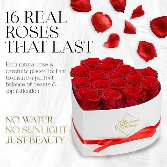 GLAMOUR BOUTIQUE Preserved Roses in a Box - Gifts for Her, Wife & Mom, Rose Flowers Forever Decor for Birthday Gift, Get Well Flower Bouquet Cased in White Box with Cover - Red - 16-Piece