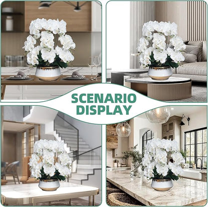 CXGS Orchids Artificial Flower Real Touch Faux Orchid in Large Ceramic Vase 23.6'' Realistic White Fake Phalaenopsis Floral Arrangements Centerpiece Table Home Indoor Decor
