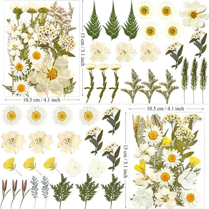 90Pcs White Dried Pressed Flowers for Resin Molds, Real Natural Bulk Dry Floral Leaves for DIY Art Crafts, Epoxy Jewelry, Candle, Soap Making, Nails Decors Gifts