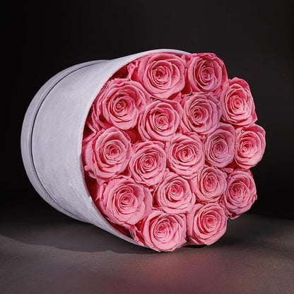 17 Flowers in a Luxury Suede Box, Birthday Gifts for Women, Preserved Flowers, Mothers Day Roses Gift for Mom, Light Pink