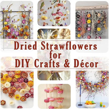 30Pcs Dried Strawflowers Bouquet, 14 - 17" Real Dried Daisy Flowers with Long Stems for Wedding, Farmhouse, Table & Home Decor, Yellow & Orange Fall Floral for Vase or DIY Arrangement