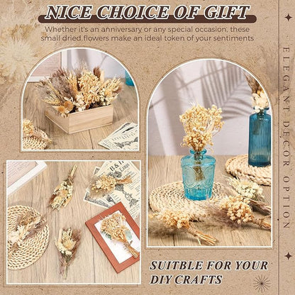 Layhit 24 Pcs Boho Dried Flower Bouquet Mini Wedding Handmade Dry Flowers Decor for Vase Crafts DIY Photo Boutonniere for Men Floral Plant for Bridesmaid Gift Birthday Decor(Stylish)